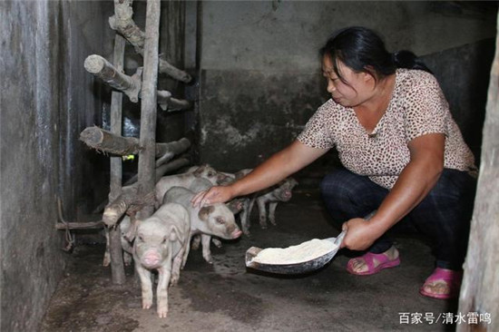 49岁男子和小他11岁的妻子留守大山：借15万养猪，一年还清欠款