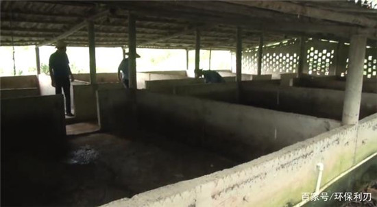 廉江市良垌镇这个养猪场被拆除村民拍手称快？原来……