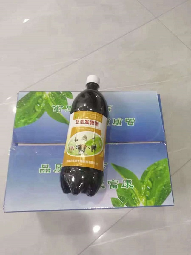 豆渣可以发酵做饲料么?喂猪的效果好么道