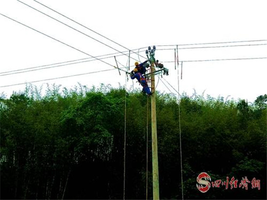 国网长宁供电公司精心服务生猪养殖业