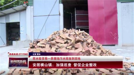 安居一养猪场污水流入田地，村民叫苦！相关部门回应