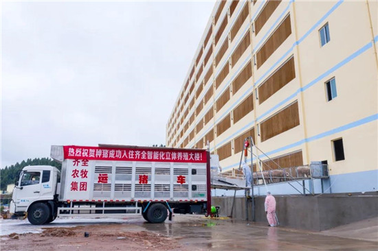 9层楼电梯公寓入住能繁母猪8000头！来看看四川首个规模化全生态立体养猪场