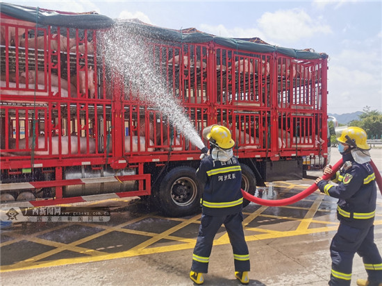 河池：大货车抛锚 “二师兄”暴晒中暑险变烤猪(图)