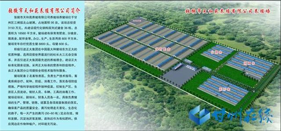 甘州区三闸镇“万头猪场”拔地而起