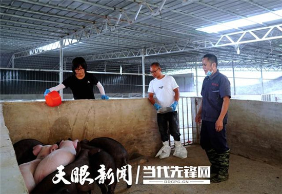 望谟：返乡养猪造“富”一方 带领乡民增收奔小康