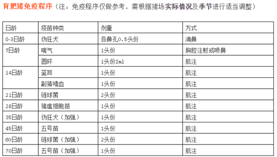 规模猪场免疫程序表，值得养猪人收藏！