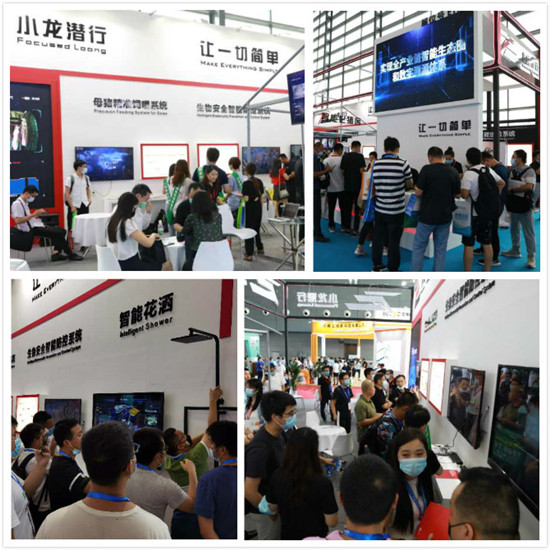 精彩畜博，出彩小龙潜行智能化新品引业界注目！