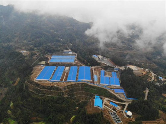 聚焦黔江生猪产业（下）|降风险生智慧 产业发展注入新动力