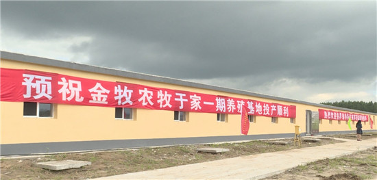 金牧农牧：于家窝堡乡建设15万头生猪养殖基地