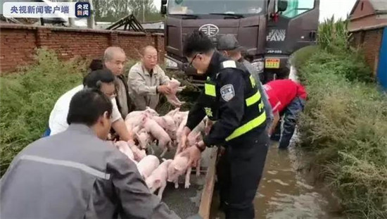 台风“海神”来袭 黑龙江两养猪场2000余头受困
