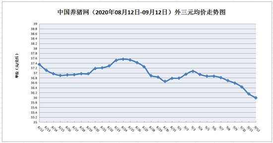 9月12日猪评：猪价跌破36元！行情有变？上涨将至？