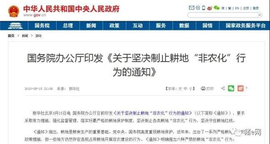 养猪用地又难了？“六个严禁”，坚决制止耕地“非农化”！