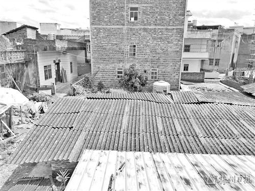 养猪场藏身住宅区令村民苦不堪言 