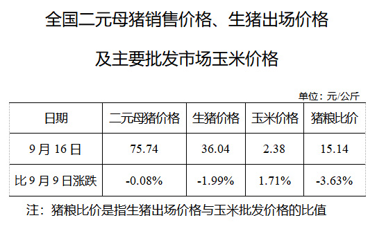 2020年09月16日猪粮比：生猪价格及玉米批发价格