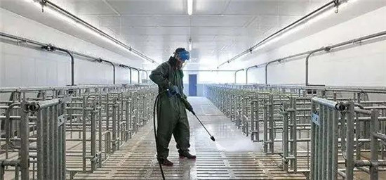 非瘟常态下，如何让生物安全“真正安全”？