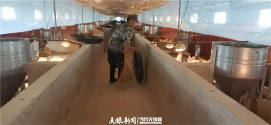 关注铜仁市生猪产业之“怎么增收”：副业成“富业” 土猪变“金猪”