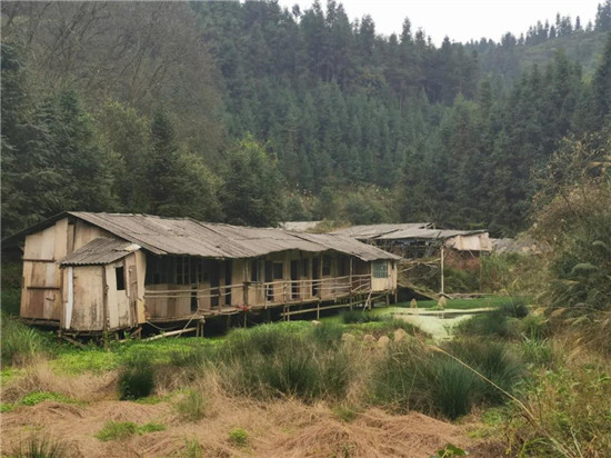 养猪场“废了”，非法占用农用地约2亩被拆，镇政府喜发整改后图片！