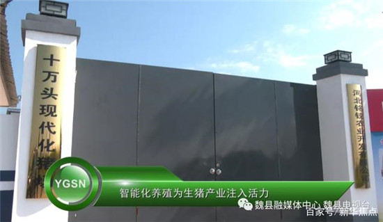 河北魏县「阳光三农」智能化养殖为生猪产业注入活力