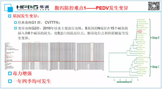 仔猪病毒性腹泻为什么难以防控？