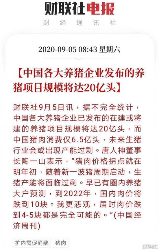 一个猪肉股韭菜的反思