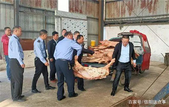 罗山集中销毁1600余斤猪肉！