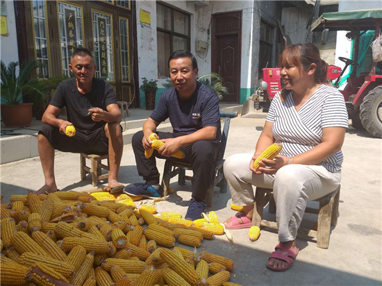 平顶山市鲁山县马楼乡：“生猪千头线”让贫困村发展迈入“快车道”