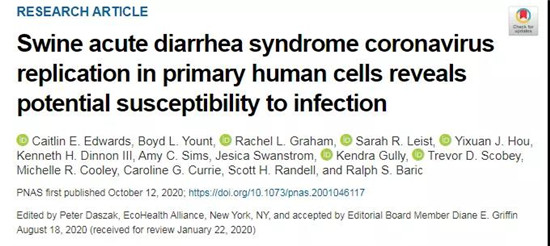 研究显示：困扰养猪业的SADS-CoV，竟存在人类传播风险