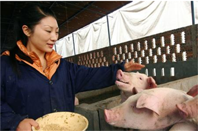 哺乳仔猪腹泻千万不要误诊为黄痢，还有可能是球虫导致的