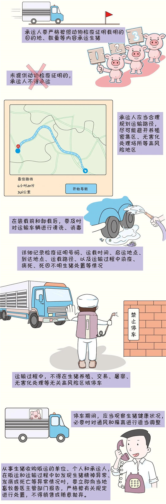 图解：生猪收购贩运及承运行为规范解读