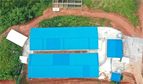 建猪场，代养扎堆！猪农：不愁资金技术、行情销路，稳赚？