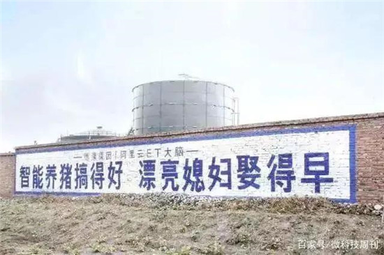 百度、阿里、京东把猪圈变战场！配保姆、上户口，这是在养猪？！