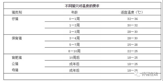 冬季猪场如何处理好保温与通风的平衡，真的两难全吗？