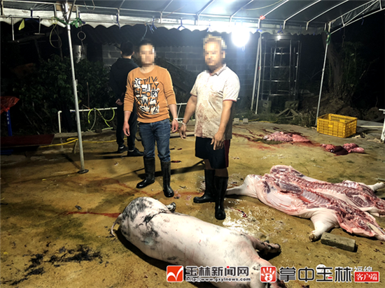 非法屠宰生猪 4人被刑拘