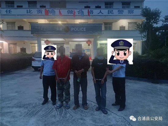 广西合浦一群偷牛贼出狱“改行”偷猪，疯狂作案11起