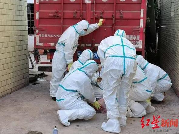 跨省过境贩运生猪发现非洲猪瘟病毒，货主被立案调查