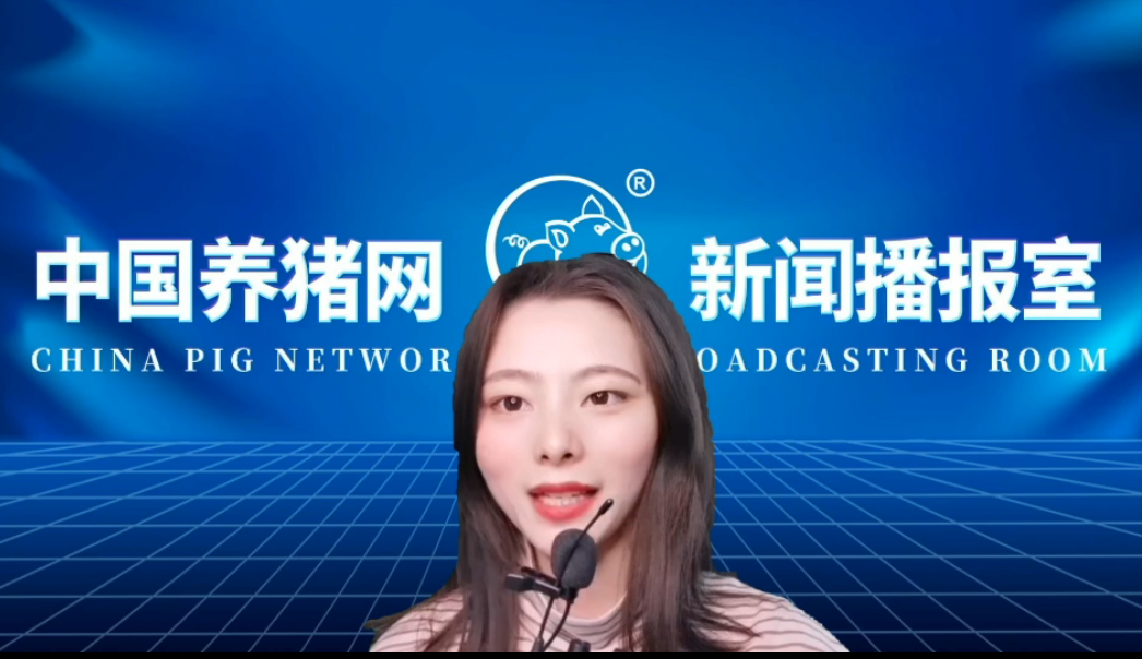  11月猪价“借力”大涨？生猪产能正在变成产量，未必！