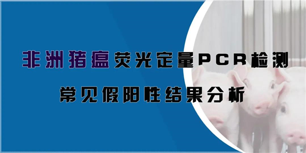 非洲猪瘟荧光定量PCR检测常见假阳性结果分析