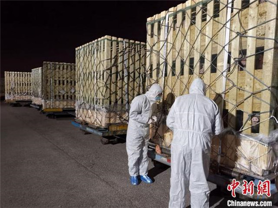 昆明进口2000头欧洲种猪 助生猪产能恢复