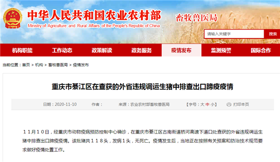 快讯！重庆在违规调运生猪中排查出口蹄疫疫情