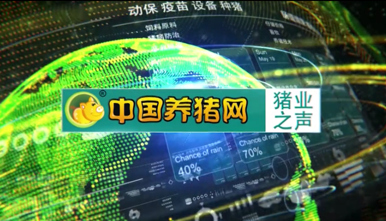 【猪业之声】 短期玉米价格强势上涨，但不具备持续性大涨的基础！