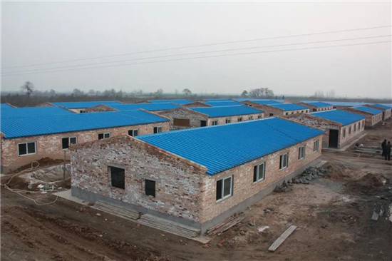 养猪“大跃进”？盲目跟风者小心！！！