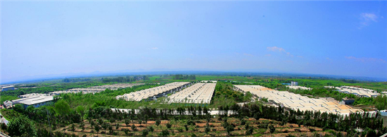 牧原高标准布局广东市场，年出栏生猪可达300万头