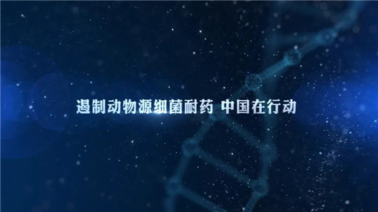 “遏制动物源细菌耐药 中国在行动——2020年提高抗微生物药物认识周”宣传资料