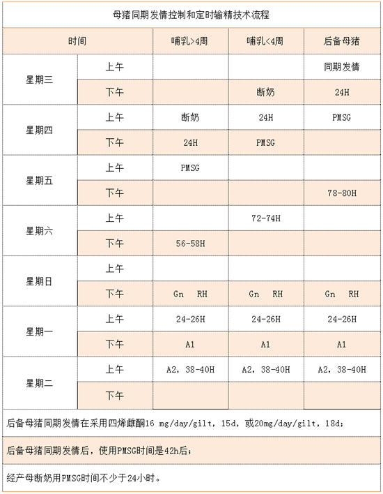 母猪的定时输精技术