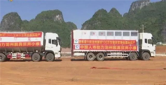 龙州年产100万头生猪项目顺利投产！预计可提供300个工作岗位！