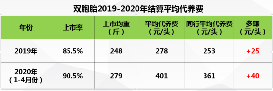 养猪3年进前十，4年进前五，双胞胎是怎么做到的？