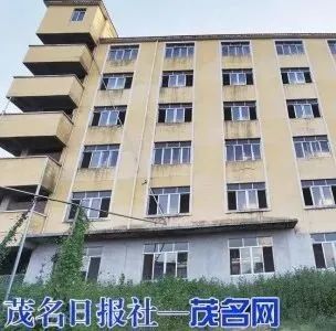 犀利！茂名这里有座“猪宾馆” ，赚钱环保两不误！