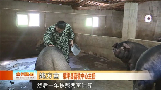 镇坪 “121”生猪养殖扶贫模式显成效