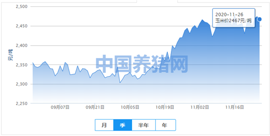 玉米价格小幅微跌！后期恐有价无市！