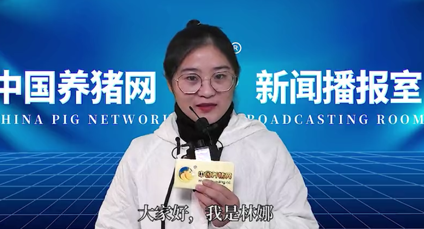  玉米市场反常！涨价明显！